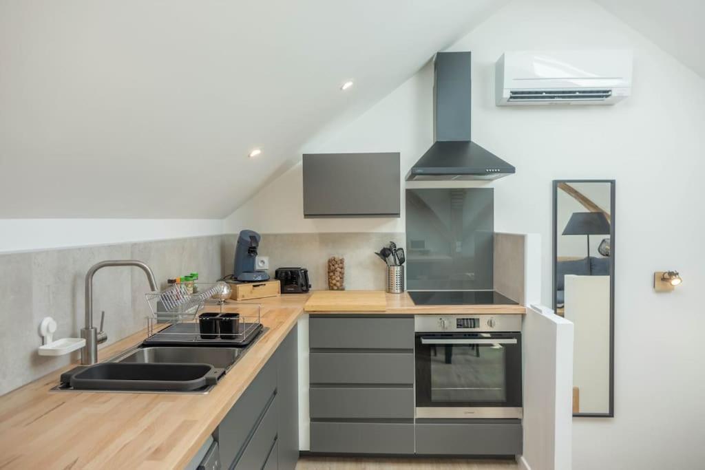 Maison/Appartement Avec Jardin Saint-Denis-en-Val Buitenkant foto